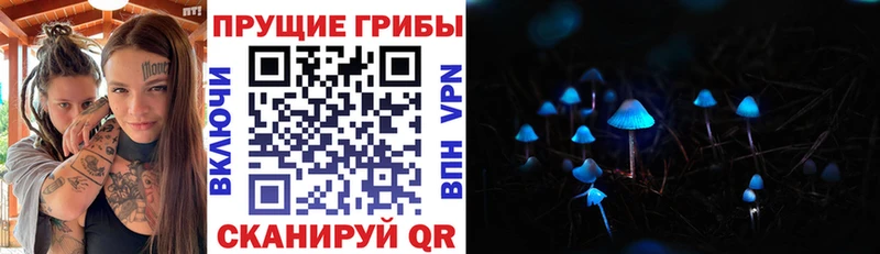 Галлюциногенные грибы Psilocybine cubensis  цена наркотик  Уяр 